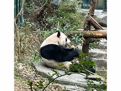 -红山森林动物园