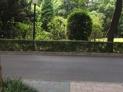 -上海交通大学医学院附属瑞金医院(总院)