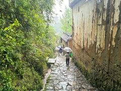 -杨家堂村