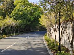 -汤山公园