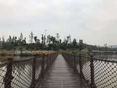 -枫香湖儿童公园