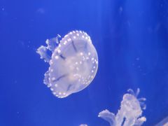 -杭州海底世界