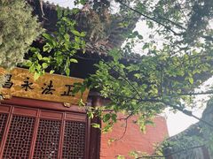 -洛阳白马寺