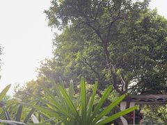 -仙店农庄(湖景农庄餐厅)