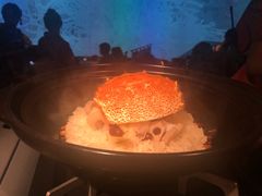 -地球美食剧场