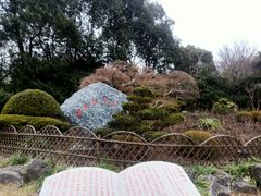 -中山公园