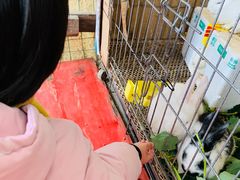 -小鱼草莓采摘园农家乐·小鱼餐厅