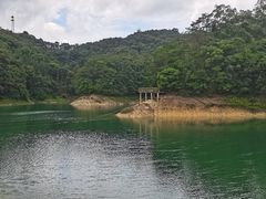 -广州市流溪河国家森林公园