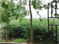 -金谷域澳洲庄园