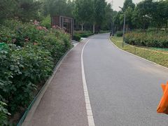 -坝河休闲公园