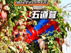-五道营胡同