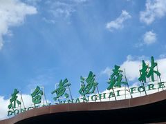 -黄海国家森林公园