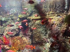 -太平洋海底世界