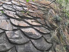 -南山植物园