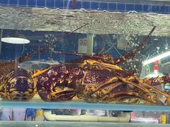 -王四营海鲜市场