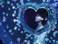 -海合安天津极地海洋公园