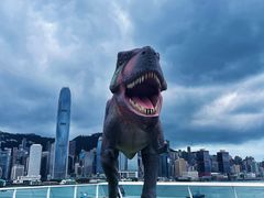 -海港城