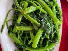 通菜-蛇口康乐快餐鱼仔档(翠苑小区店)