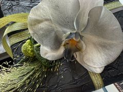 -Flower in(密渡桥店)