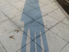 -上海港国际客运中心