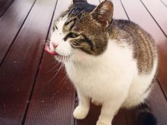 -UNIUNI(凯瑟琳广场店)