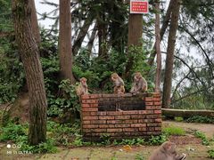 -重庆雨台山风景区