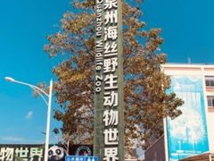 -泉州海丝野生动物世界