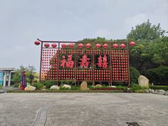 -合肥滨湖国家森林公园