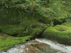 -少华山国家森林公园