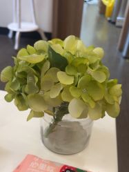 -上海玫瑰医疗美容医院