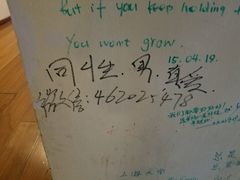 -大隐国际青年旅舍(上海陆家嘴东方明珠店)