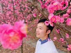 -望江楼公园