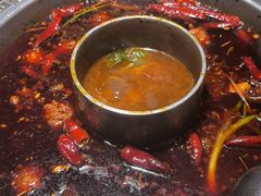 -杨肥肠火锅大排档(火车站花园店)