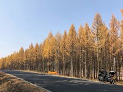 -塞罕坝国家级自然保护区