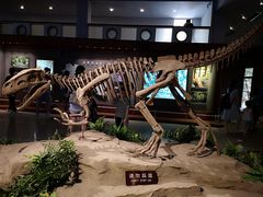 -自贡恐龙博物馆