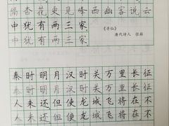 -赵汝飞练字(南京路国际贸易中心校区)