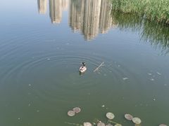 -前关湿地公园