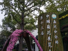 -汇龙潭