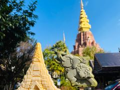 -纳兰傣雀傣味餐厅