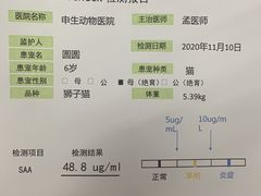 -瑞派申生动物医院·24H夜诊·国际动物医疗中心·骨外科(吴中路店)