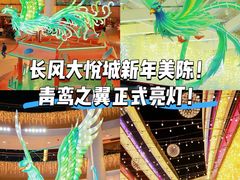 -上海长风大悦城