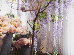 -蓝山四季西餐植物店