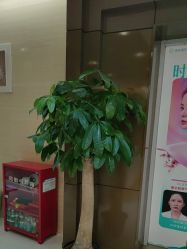 -重庆星宸整形美容医院