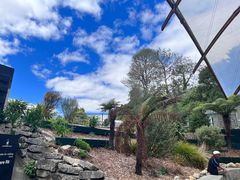 -怀托摩萤火虫洞