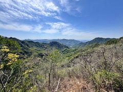 -大岭沟猕猴桃谷风景区