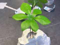 -江南里·新浙菜(苏州大悦城店)