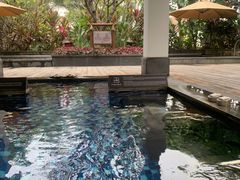 -厦门日月谷温泉渡假村