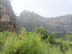 -南山植物园