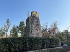 -神仙树公园