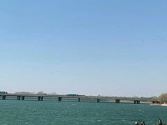 -丁香湖公园
